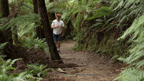 Hombre-Caminando-Por-Una-Pista-Forestal-De-Arbustos