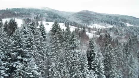 breathtaking aerial view of vast snow white landscape in high tatras, slovakia