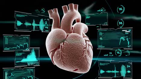 3d heart model with medical monitoring and diagnostics