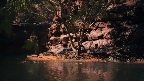 vista panorámica del río colorado