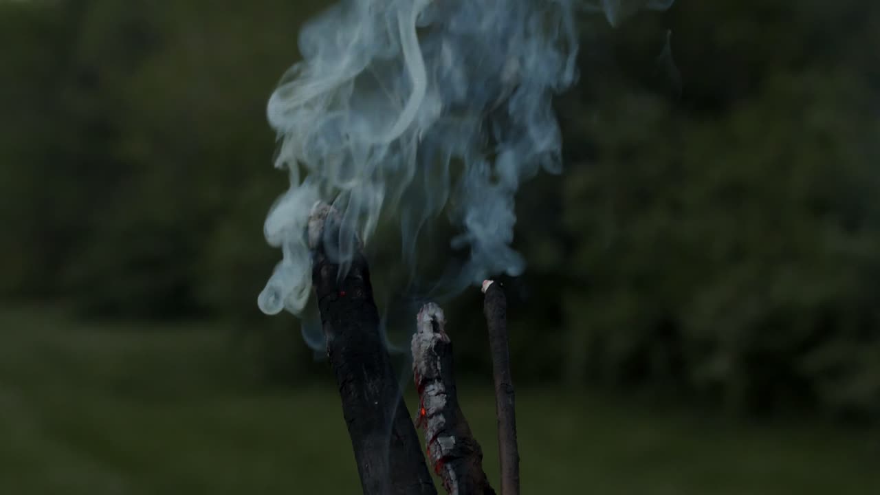 una antorcha se apaga y columnas de humo vienen de las ramas
