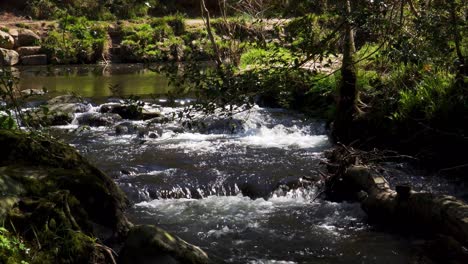 agua dulce que fluye por el río teign en el parque nacional de dartmoor