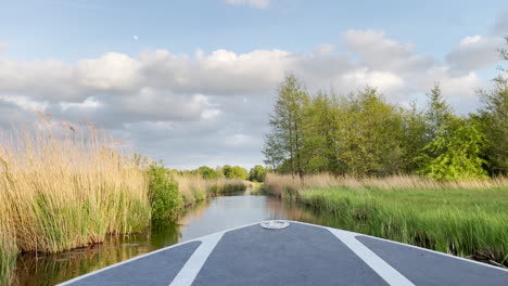 pov of a boat cruising on river with tall grasses in summer day