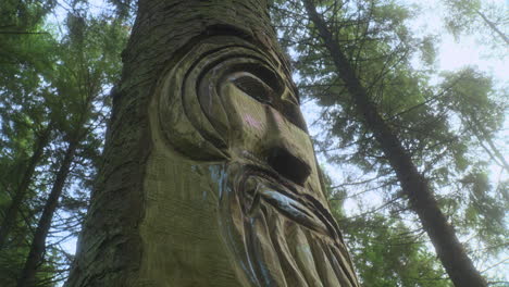 face carved into pine tree trunk low angle view with slow pan upwards and gently swaying trees in the background