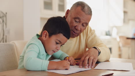 grandfather, education or child drawing in books