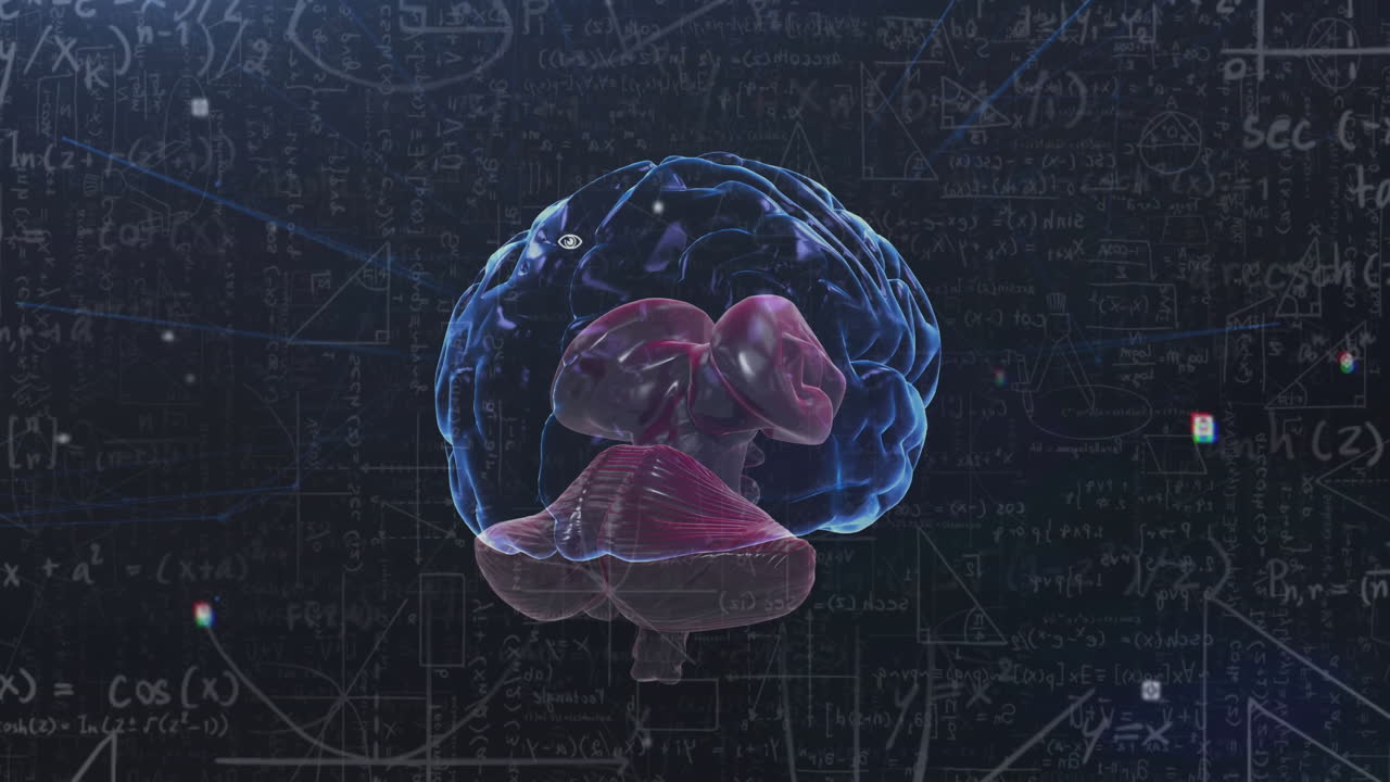 뇌 해부학과 수학적 방정식 어두운 배경에 애니메이션