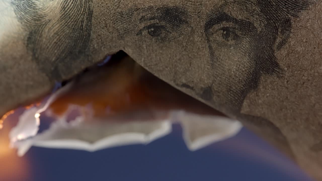 US twenty-dollar bill slowly burns and tears, close up