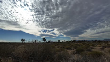 Cloudscape-over-a-Joshua-tree-forest-in-the-Mojave-Desert---wide-angle-time-lapse