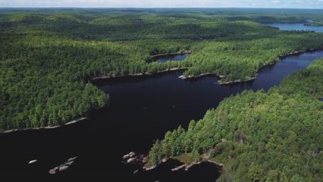 crane drone view of a remote lake surrounded by woods and trees hb02