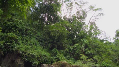 The-majestic-Goa-Rang-Reng-waterfall-on-Bali,-with-a-tilt-up-shot-starting-at-the-cascading-water-and-revealing-the-lush-jungle-above