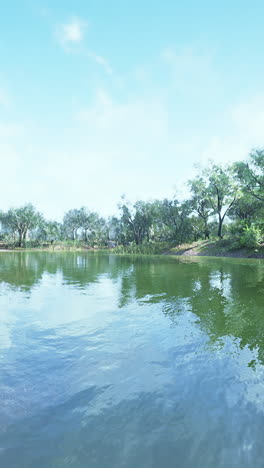 a serene lake surrounded by trees