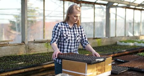 young female botanist examining potted plant 9