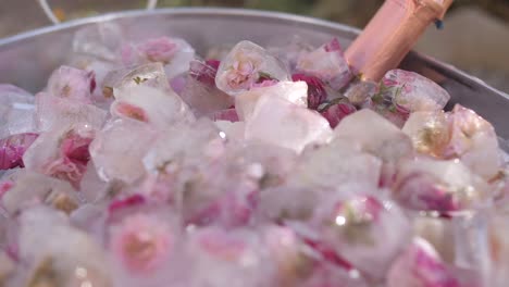 Pétalos-De-Flores-Rosas-Congelados-En-Cubitos-De-Hielo-Como-Decoración-Para-Cubo-De-Champán,-Muñeca