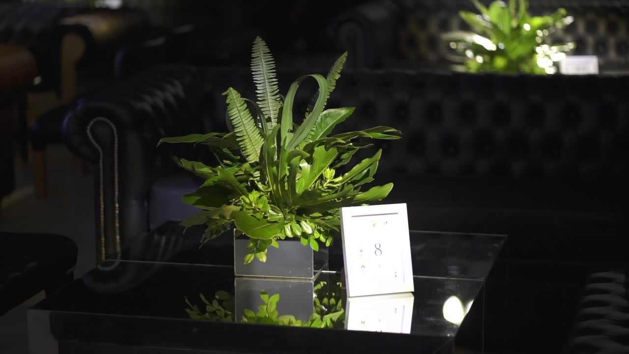 sofá de cuero de lujo negro, planta decorativa en un club nocturno de gama alta