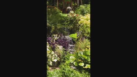 tropical garden waterfall