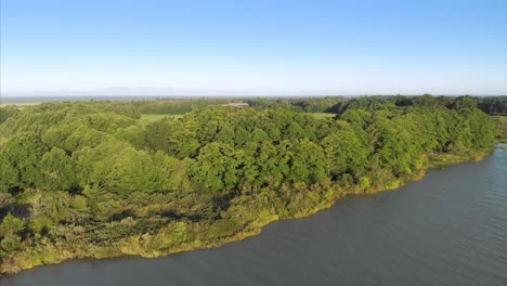 westham-island,-island,-british-columbia,-delta,-trees,-forest,-farm,-private-island