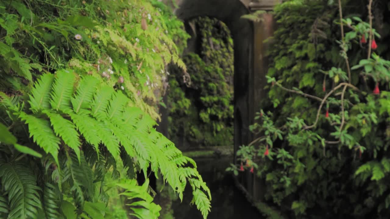 el jardín del túnel verde encantado