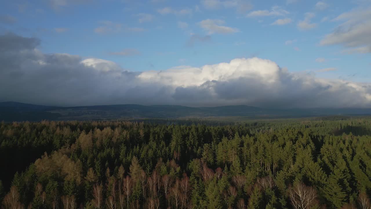 Breathtaking view of a dense, green forest under a partly cloudy sky with the faint outlines of mountains in the distance
