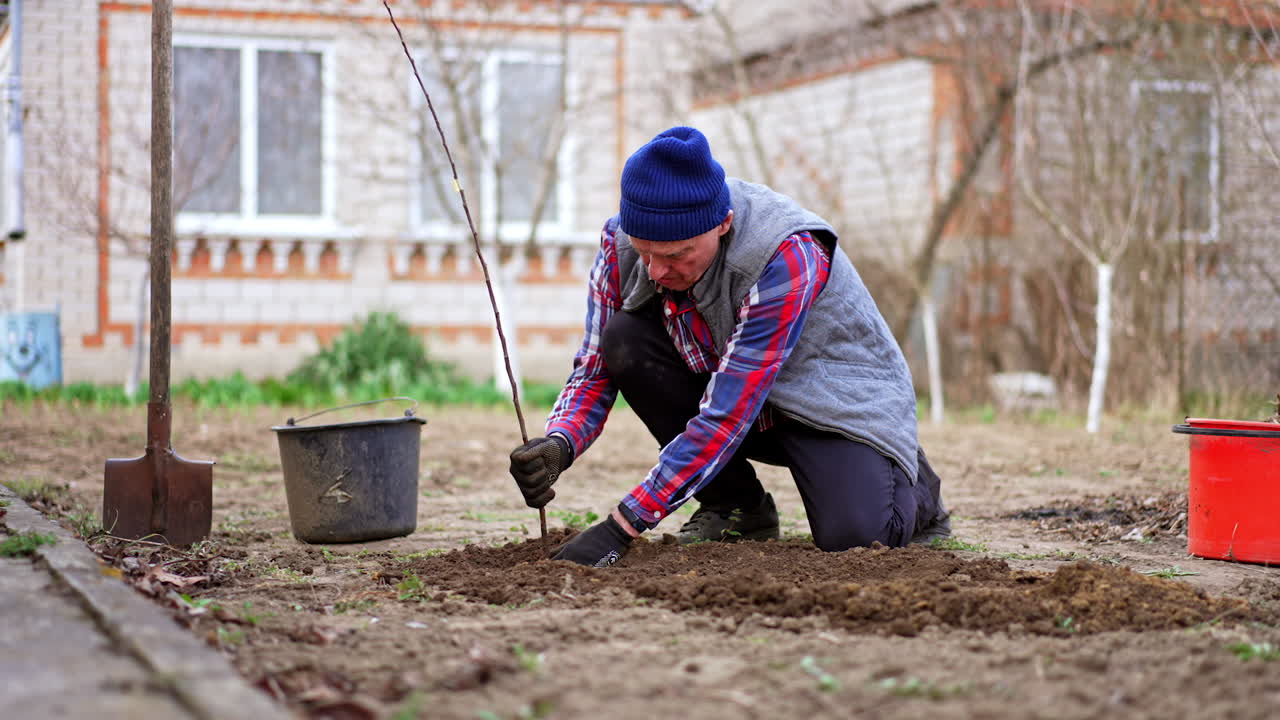 Industrious old man working in his garden near the house. Farmer planting a young apple tree.