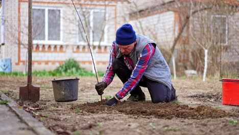 industrious old man working in his garden near the house. farmer planting a young apple tree.