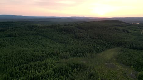 Drohne-Fliegt-über-Einen-Riesigen-Waldpark-Mit-Grünen-Kieferndickichten-In-Dalarna,-Schweden