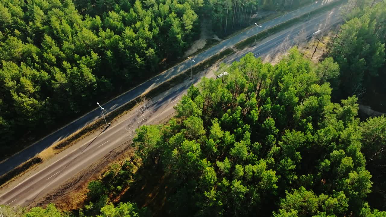 Drone captures straight forest road and lone car driving past tall green trees