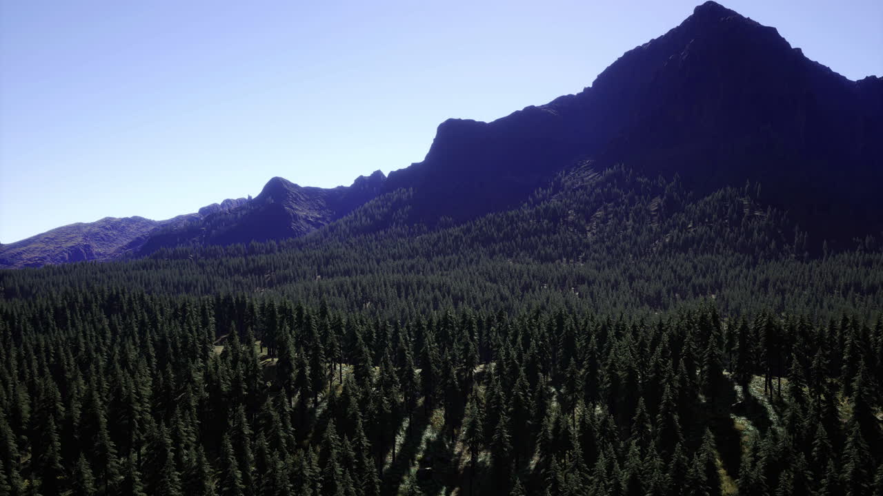 Scenic mountain landscape showcasing dense evergreen forest under clear sky