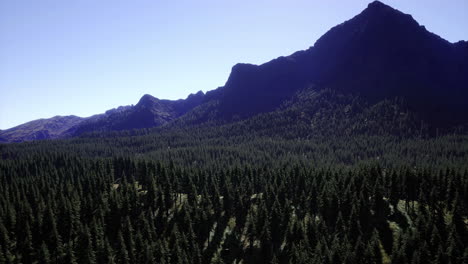 scenic mountain landscape showcasing dense evergreen forest under clear sky