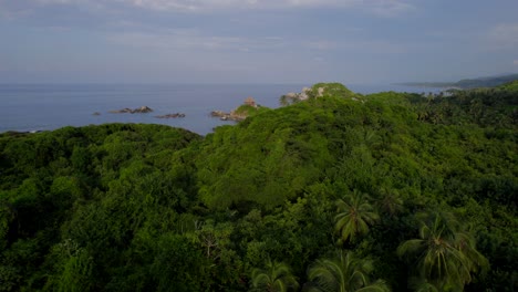 drone flying aver palm trees towards cabo de san juan in tayrona, colombia