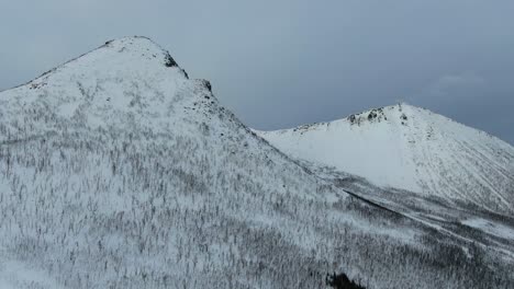 Drone-view-in-Tromso-area-in-winter-flying-over-a-snowy-mountain-showing-a-leafless-tree-forest-in-Segla,-Norway