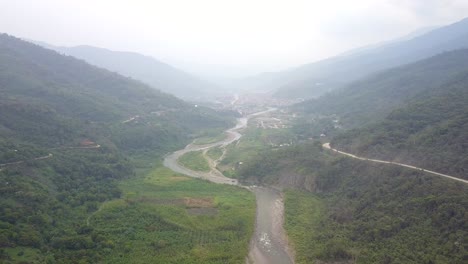 coffee plantation in the bolivian mountain jungle