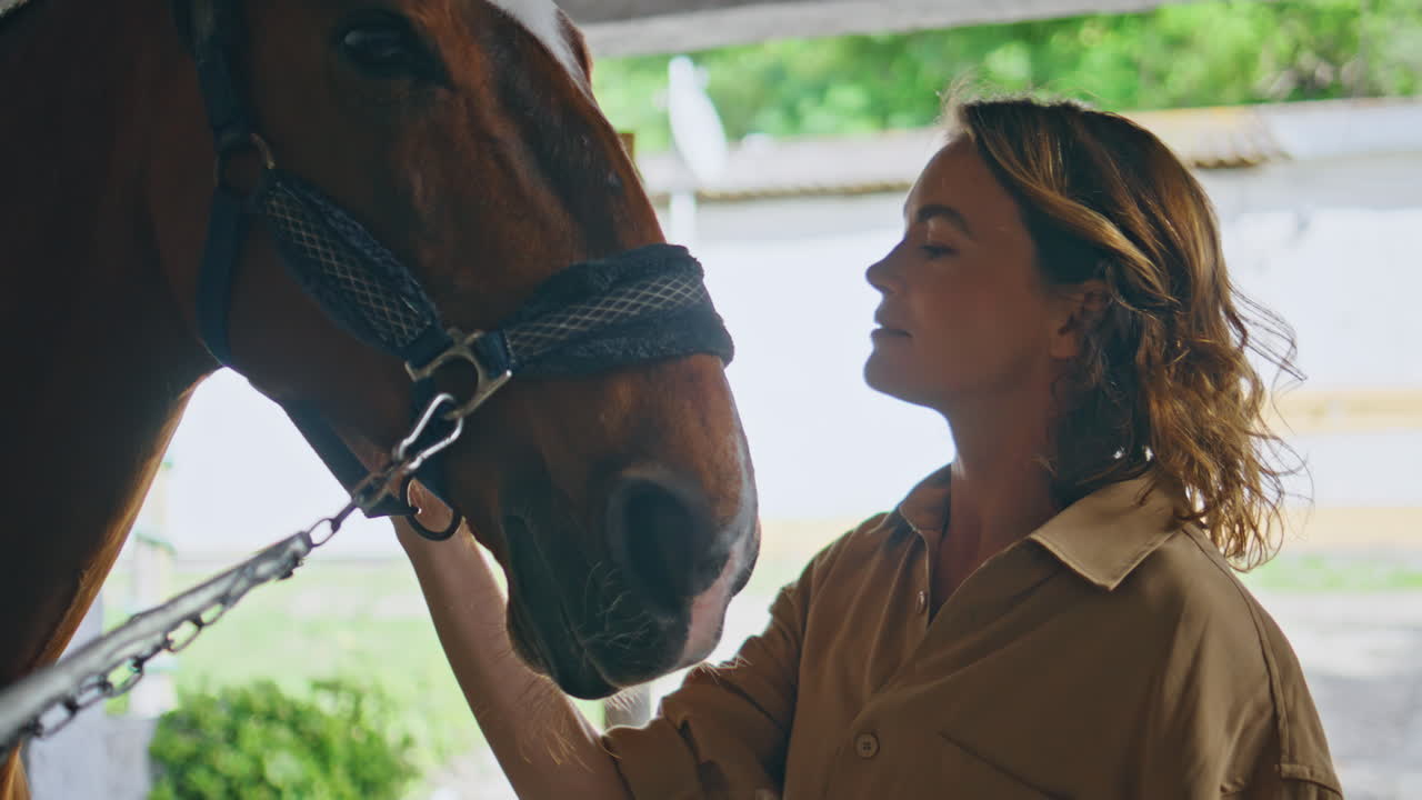 Horse owner touching pet at barn with sunlight closeup. Woman petting animal