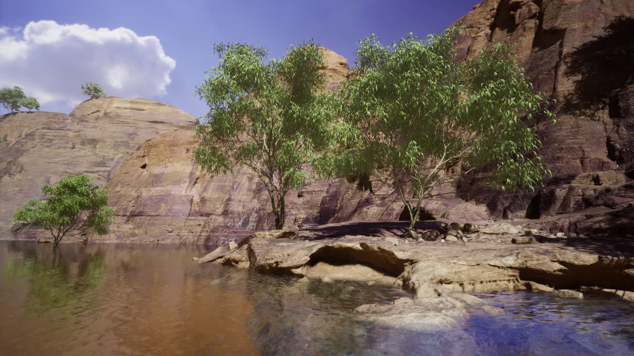 Natural oasis showcasing lush greenery against striking rock formations