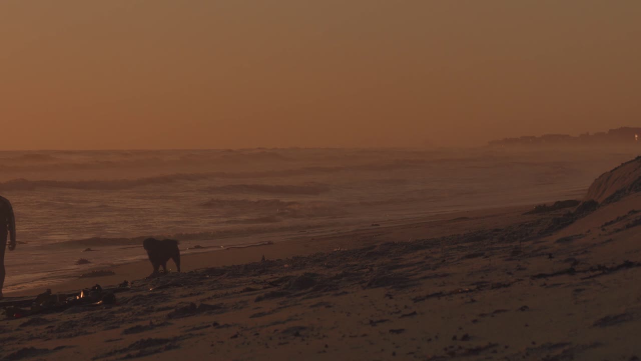 Silhouette of man and his dog walking along a sandy beach with sea waves coming ashore during sunset