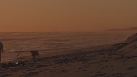 silhouette of man and his dog walking along a sandy beach with sea waves coming ashore during sunset