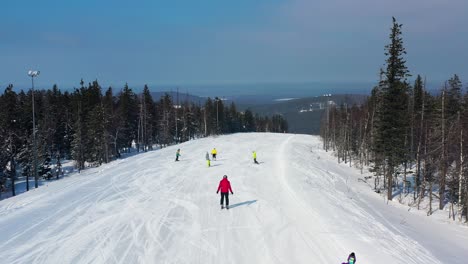 skiers enjoying a snowy mountain slope