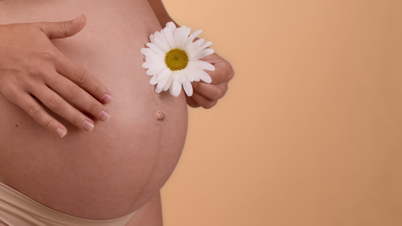 Donna incinta con un fiore di margherita sulla pancia.