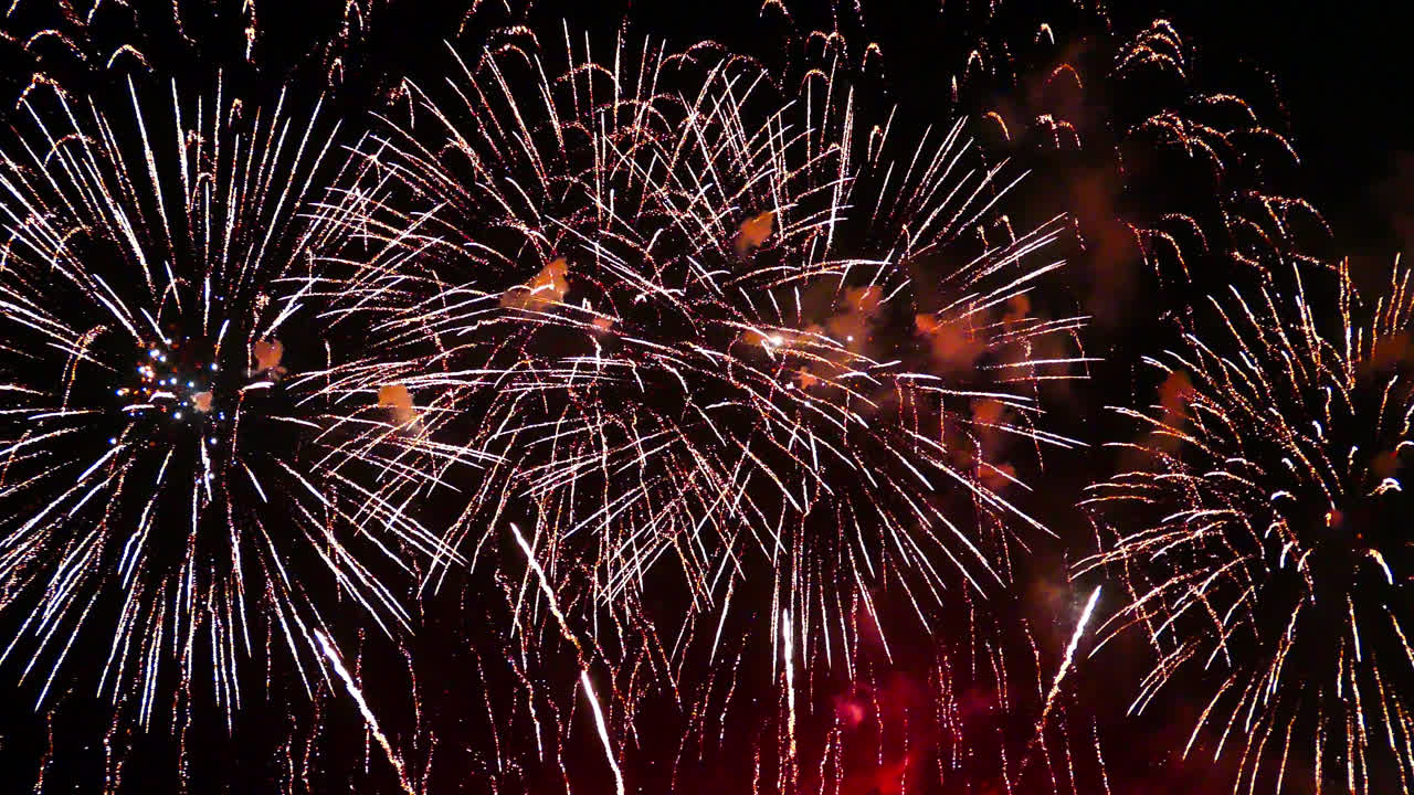 hermosa celebración abstracto colorido espectáculo de fuegos artificiales en el fondo de la noche