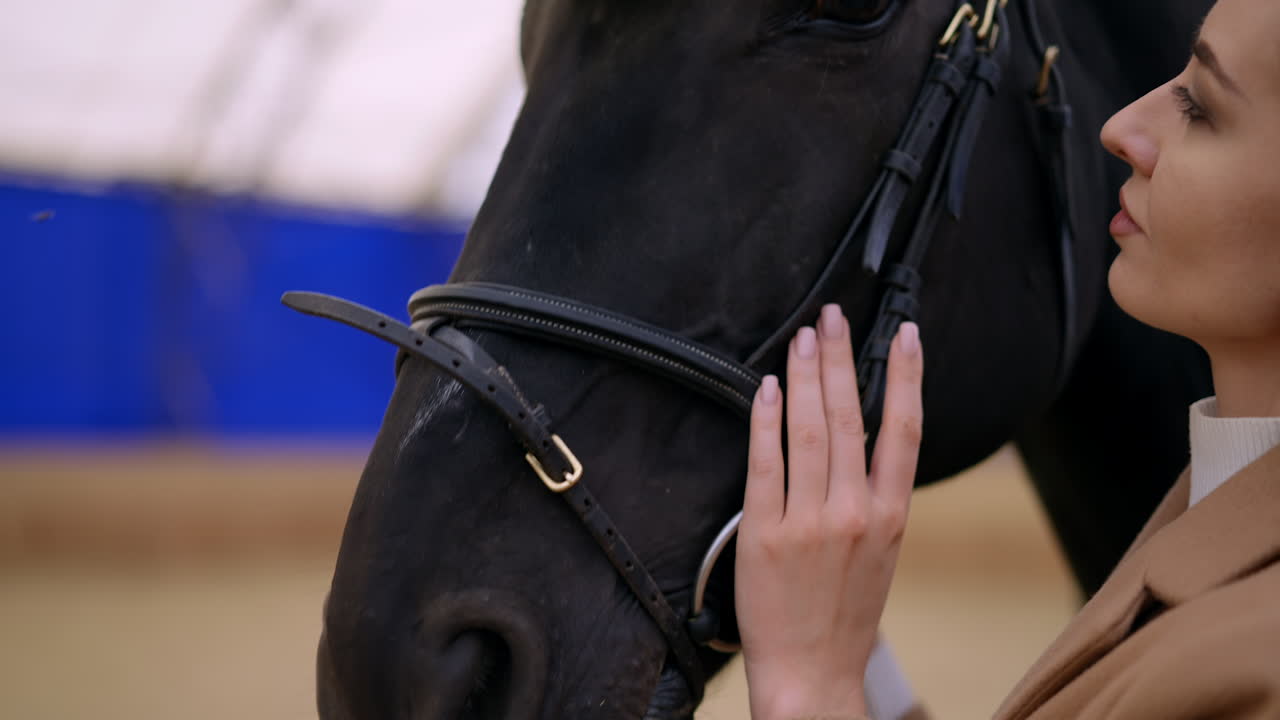 Woman gently touching a black horse