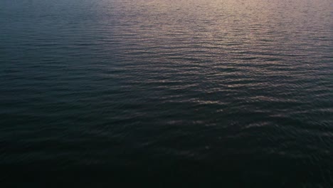 Aerial-flyover-of-boat-sitting-in-an-ocean-bay-at-sunset-with-a-seabird-flying-by