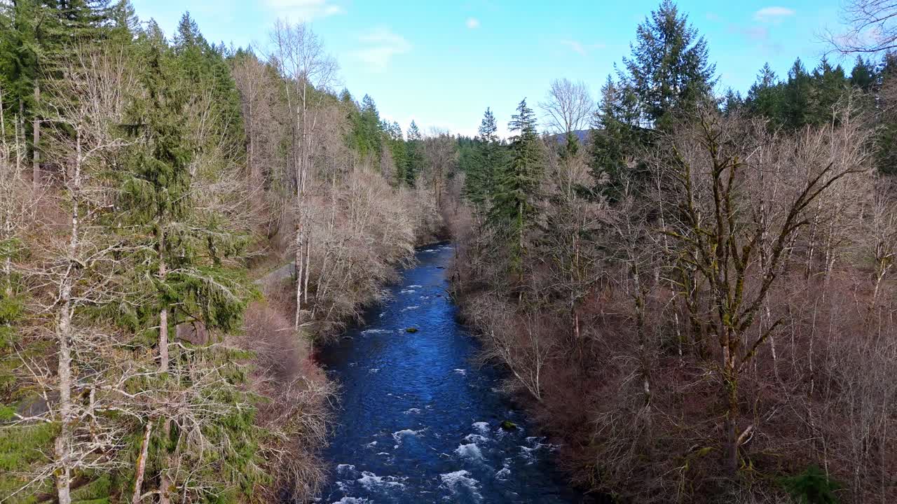 Luftfoto af den strømmende Cedar River og skov på en klar dag i staten Washington.