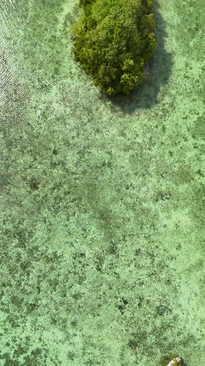 Ripresa aerea con drone sorvola le acque turchesi della laguna e le rigogliose isole rocciose calcaree verdi.