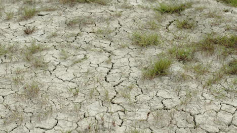 the dried up earth