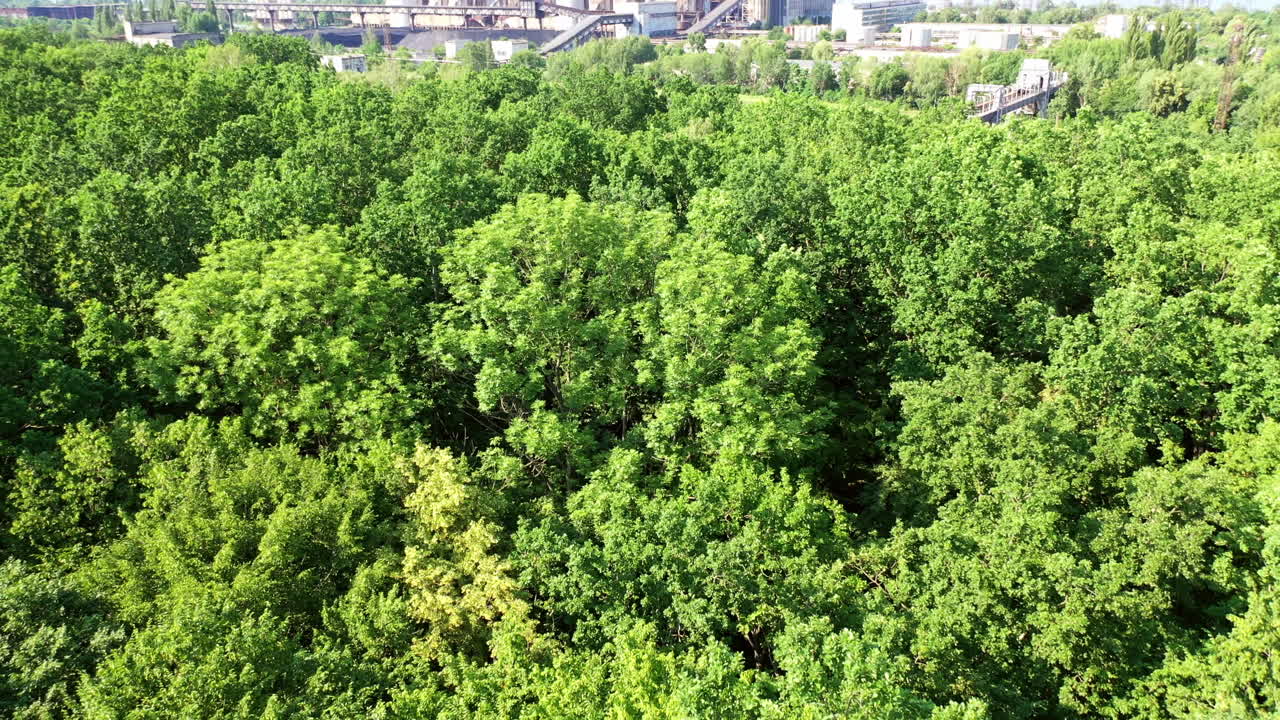 Green forest from above. Flying over beautiful green forest in rural landscape
