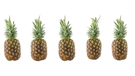 funny animation with five ripe fresh pineapples on white background. concept of travel with copy space
