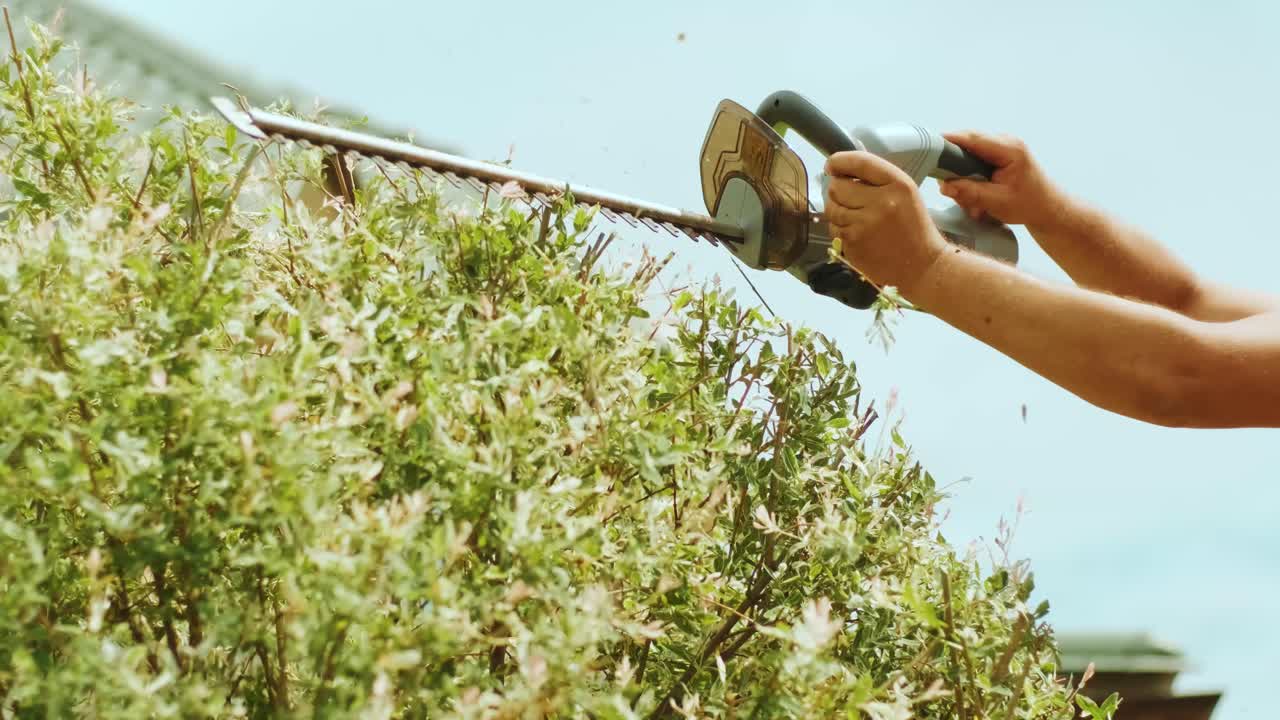 jardinero recortando árbol en el parque verde con cortador eléctrico para el seto. trabajador dando forma a árbol en el jardín. cortando planta de árbol con cortadora eléctrica de naranja en el patio trasero.