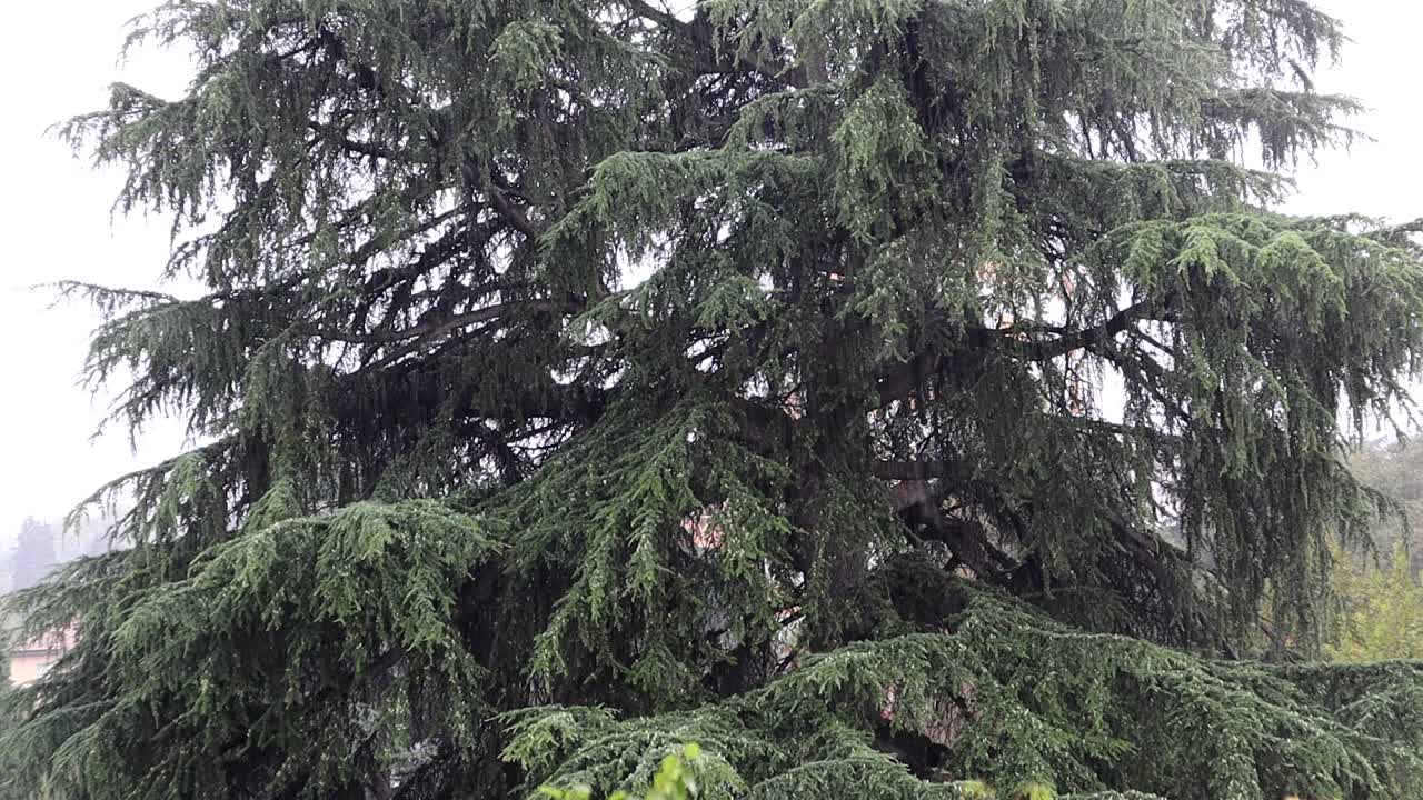 이탈리아 볼로냐에 내린 첫 가을비