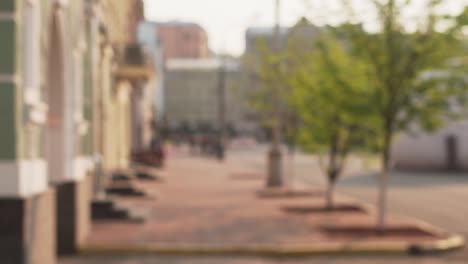 european city view with trees. background for green screen or titles