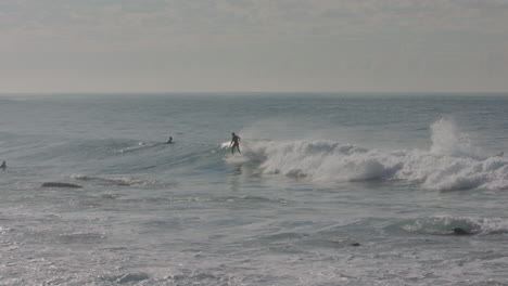 tres surfistas esperan en el agua a que venga una ola, luego uno encuentra una en la playa manly australia