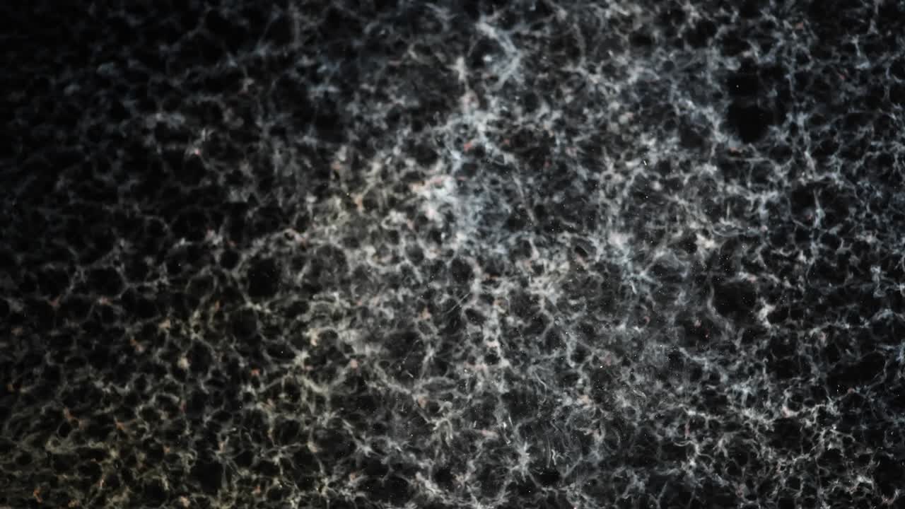 dios mío, ¿viste eso?